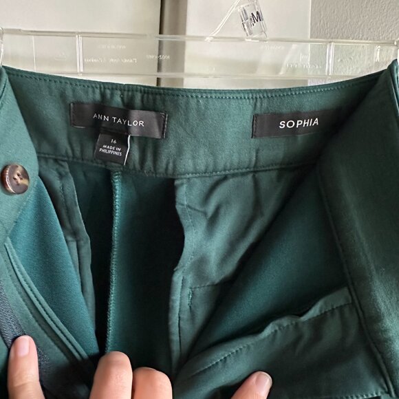 Ann Taylor Pintucked Straight Leg Pant in Double Knit /Straight Pant Sz 16 NWOT - Picture 8 of 10